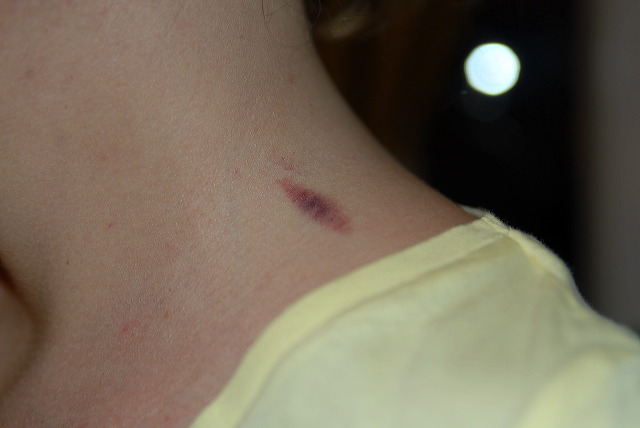 aysia_016.jpg