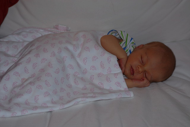 aysia_017.jpg