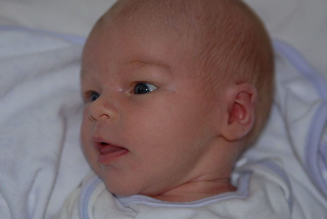 aysia_030.jpg