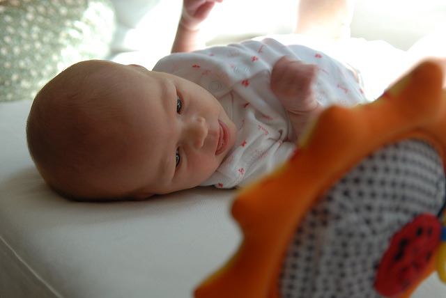 aysia_054.jpg