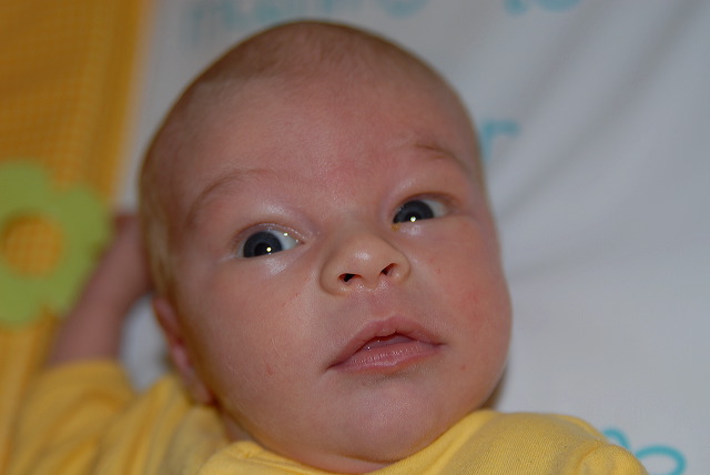 aysia_070.jpg