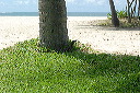 2007_10_16_034