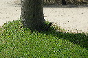 2007_10_16_035