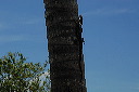 2007_10_16_039