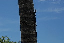 2007_10_16_040