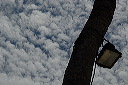 2007_10_16_041