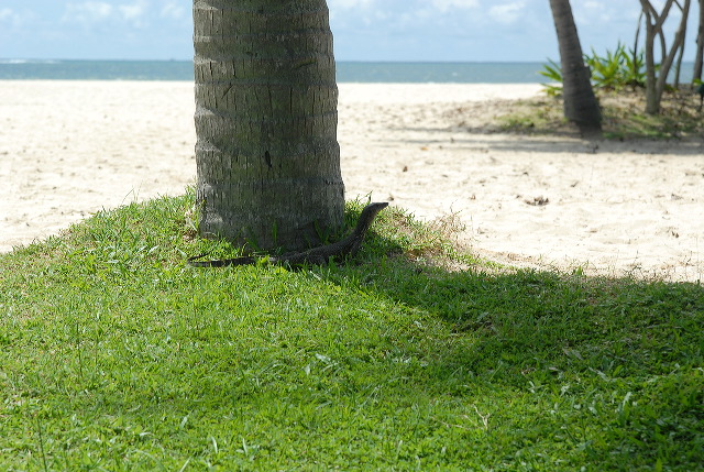 2007_10_16_034.jpg