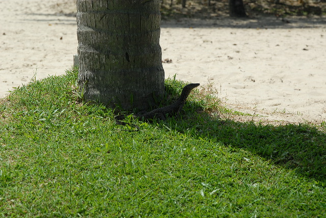 2007_10_16_035.jpg