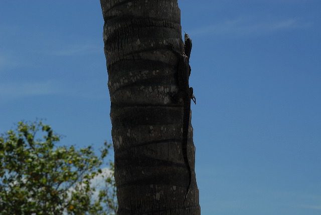 2007_10_16_039.jpg