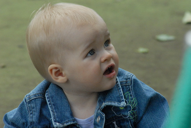 dsc_0042.jpg