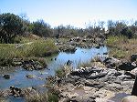 img_3088