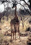 south_africa_10_edited-1