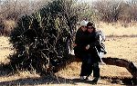 south_africa_3_edited-1