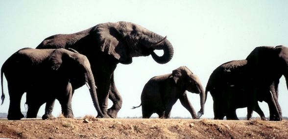 south_africa_14_edited-1.jpg