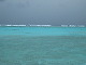 IMG_3173.jpg