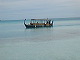 IMG_3184.jpg