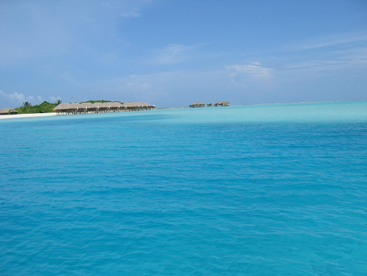 img_3155.jpg