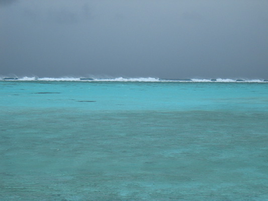 img_3173.jpg
