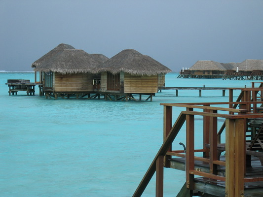 img_3174.jpg