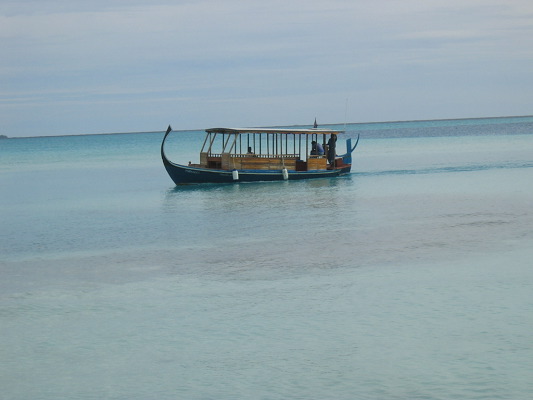 img_3184.jpg