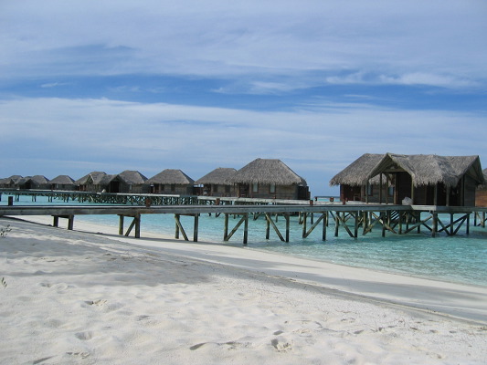 img_3185.jpg