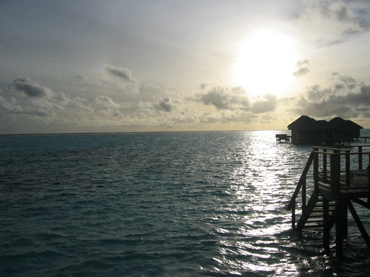 img_3253.jpg